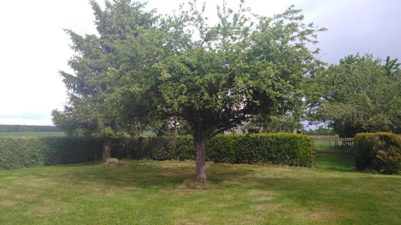 Grande Maison De Plain Pied Avec Jardin Arbore. Champignelles Exterior foto